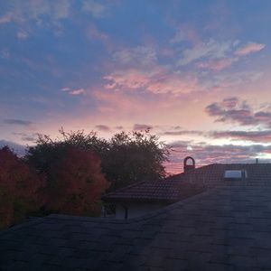 Meet your Posher, Isabella